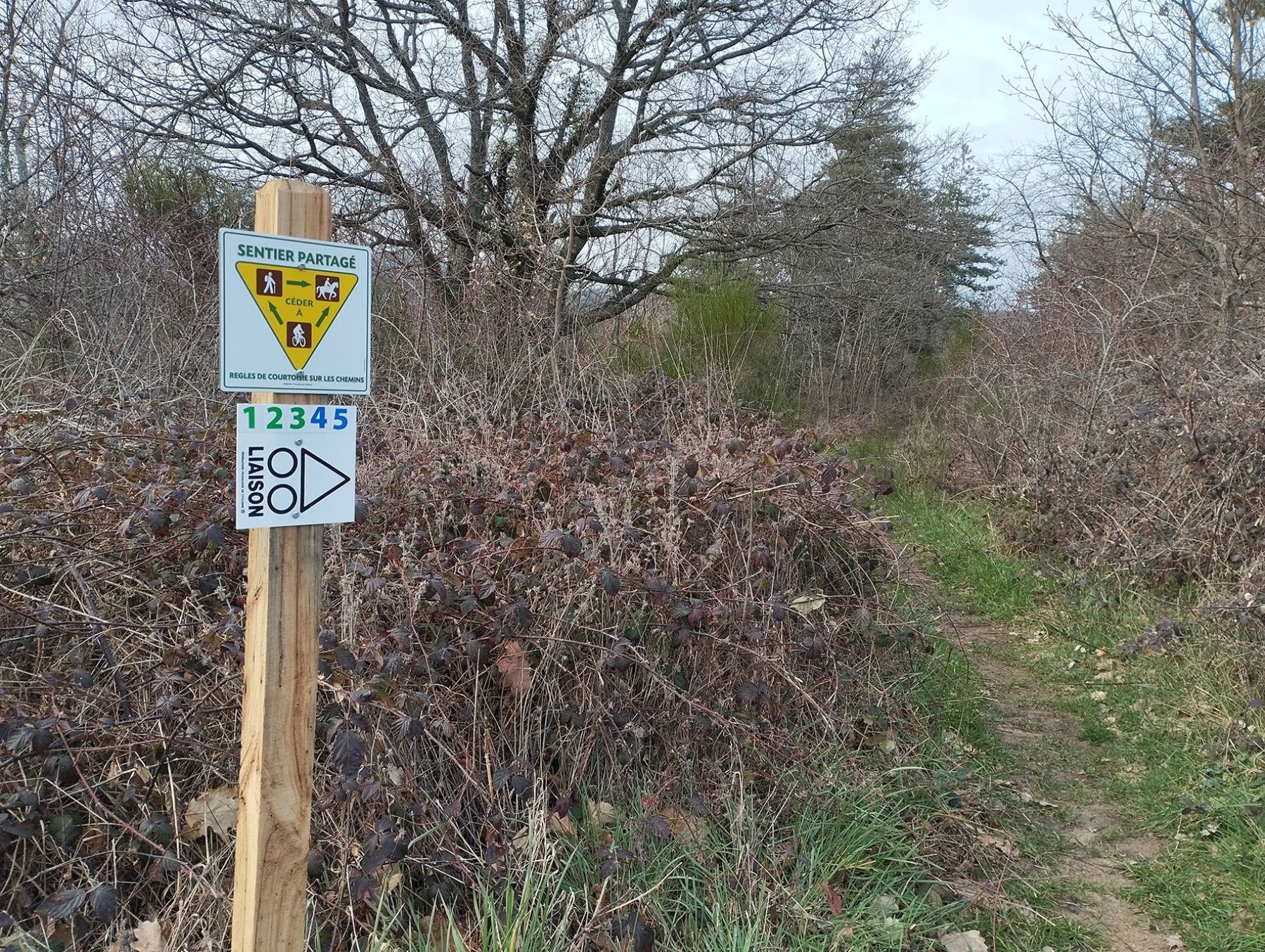 Piste de VTT