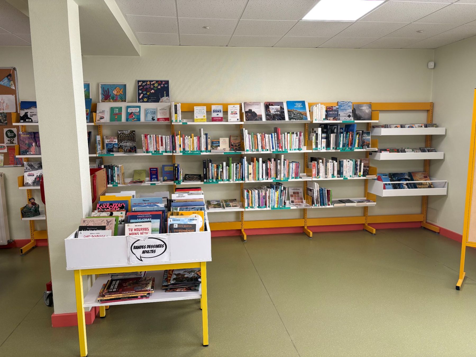 Espace des adultes