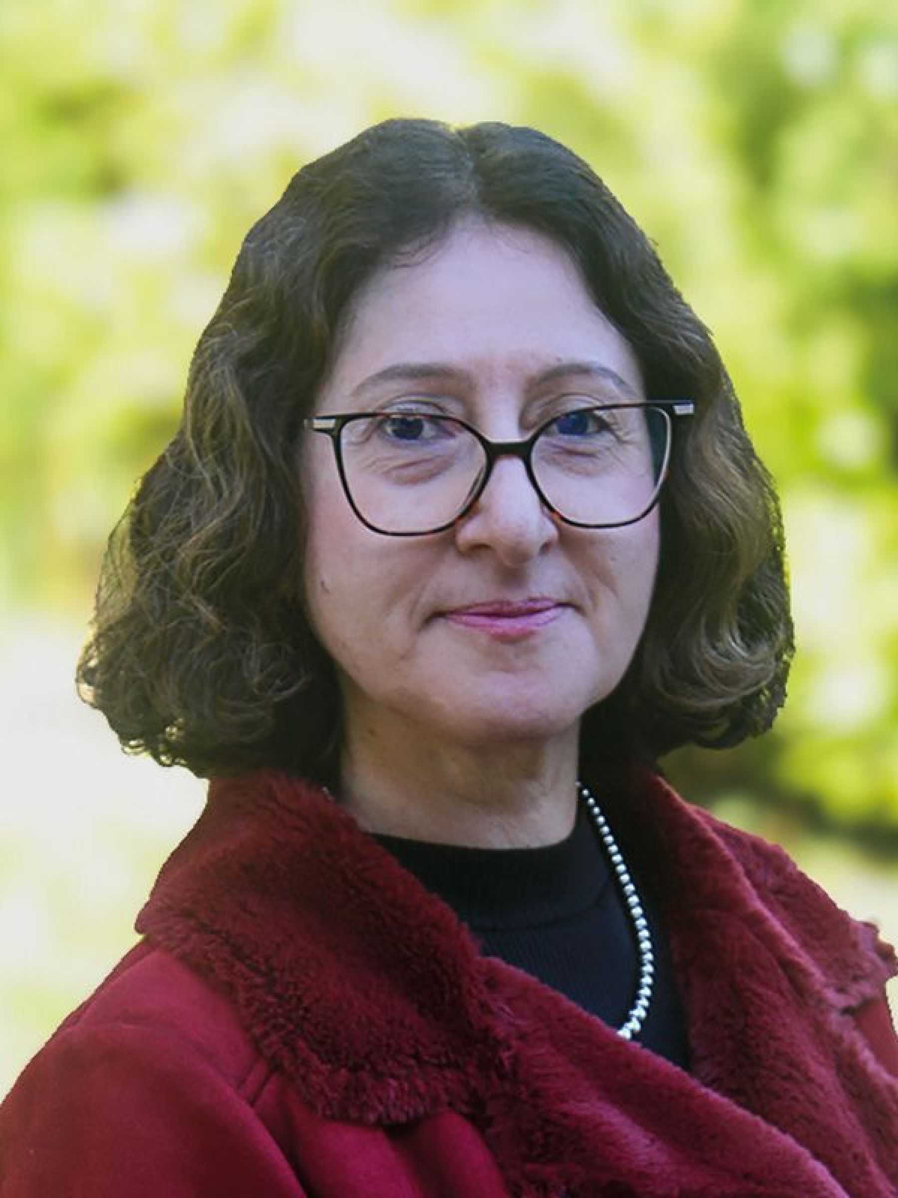 Christian GUILLAUMET, conseiller