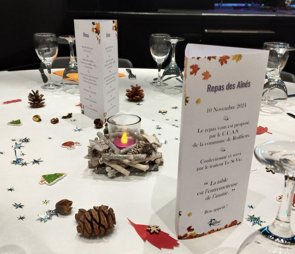 Repas des aînés.jpg