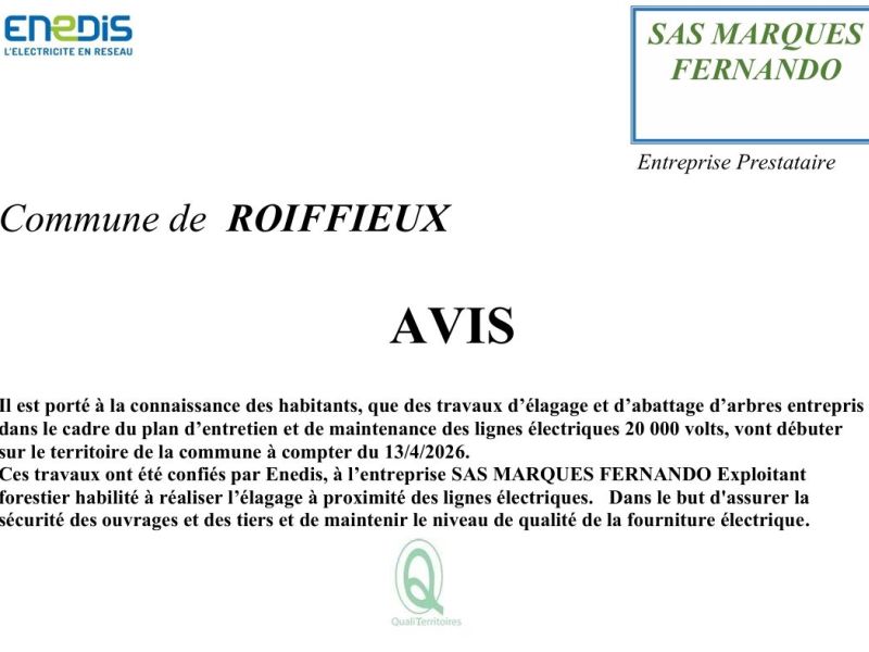 Préparation et Élagage du réseaux électriques HTA Prestataire ENEDIS