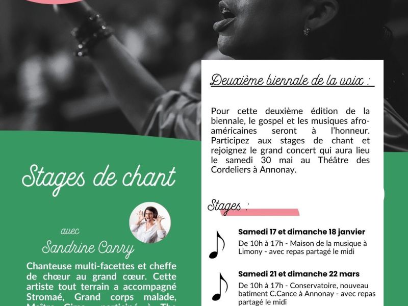 Biennale des Pratiques vocales amateurs / Stages de chant (3)